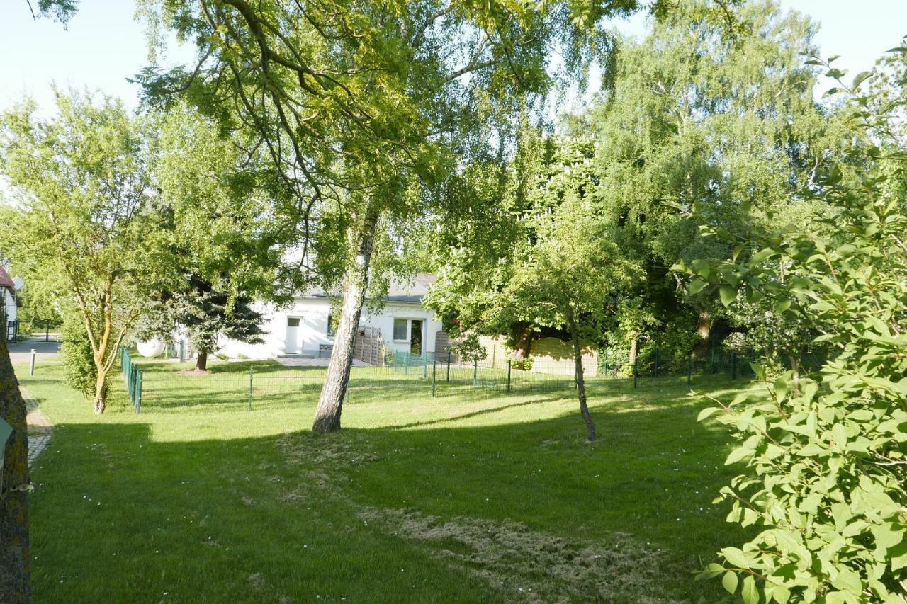 Ferienhaus - 135 Qm - Naehe Insel Poel Ostsee Damekow Εξωτερικό φωτογραφία